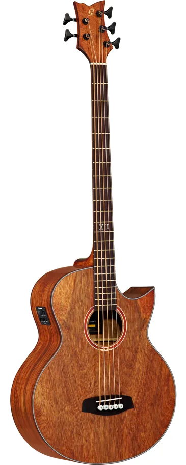 Acoustic Bass, 5-String, All Paldao