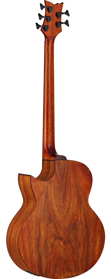 Acoustic Bass, 5-String, All Paldao