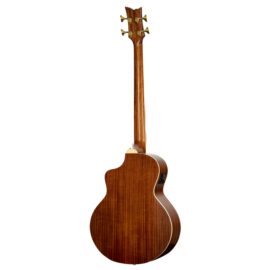 Acoustic-Electric Bass 4-String - Black