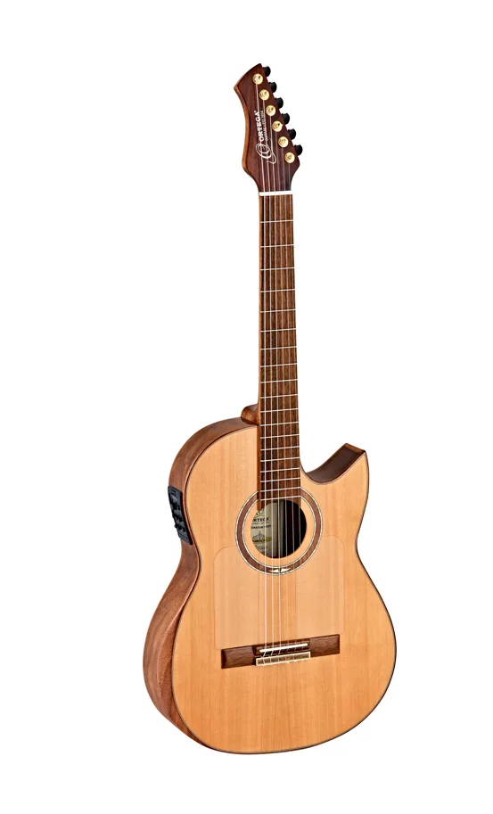 Ben Woods Signature Guitar - TWO