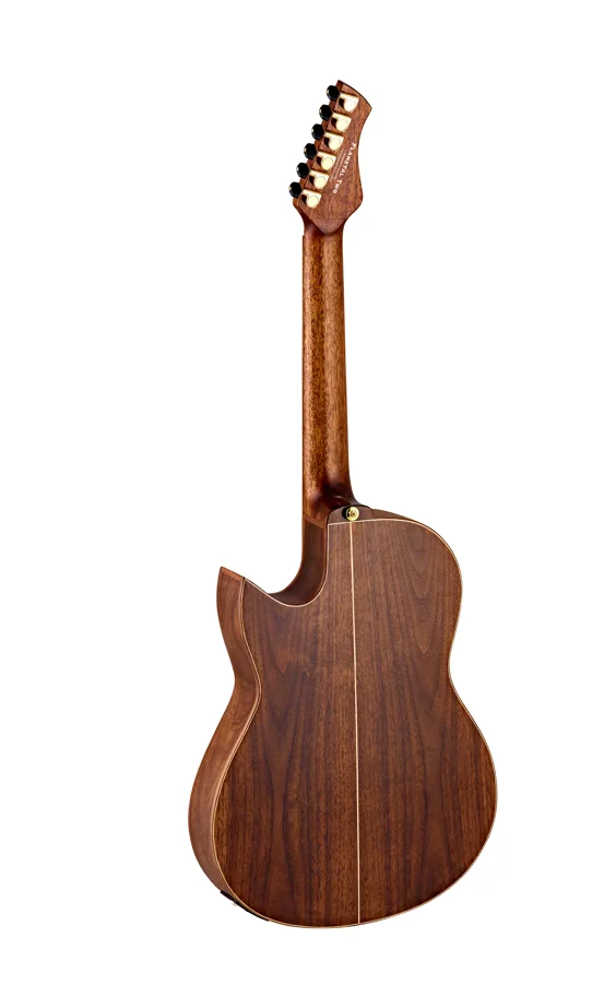 Ben Woods Signature Guitar - TWO