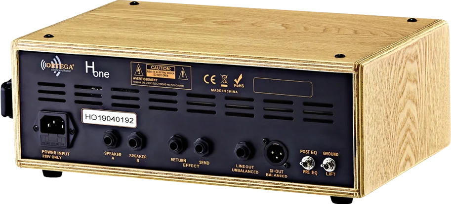 Ortega 100 Watt RMS Acoustic Amplifier