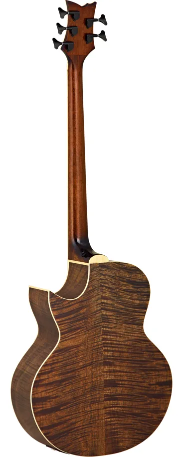 Acoustic Bass - 5-String - Solid Spruce Top