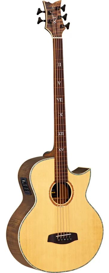 Acoustic Bass - 5-String - Fretless - Solid Spruce Top