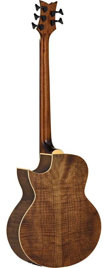 Acoustic Bass - 5-String - Fretless - Solid Spruce Top