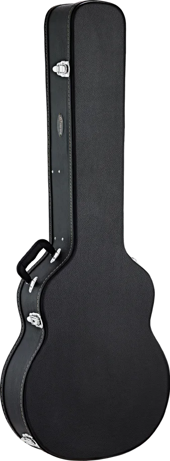 Case Acoustic Bass