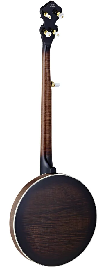 Banjo 5-String - Flamed Maple - Engraved