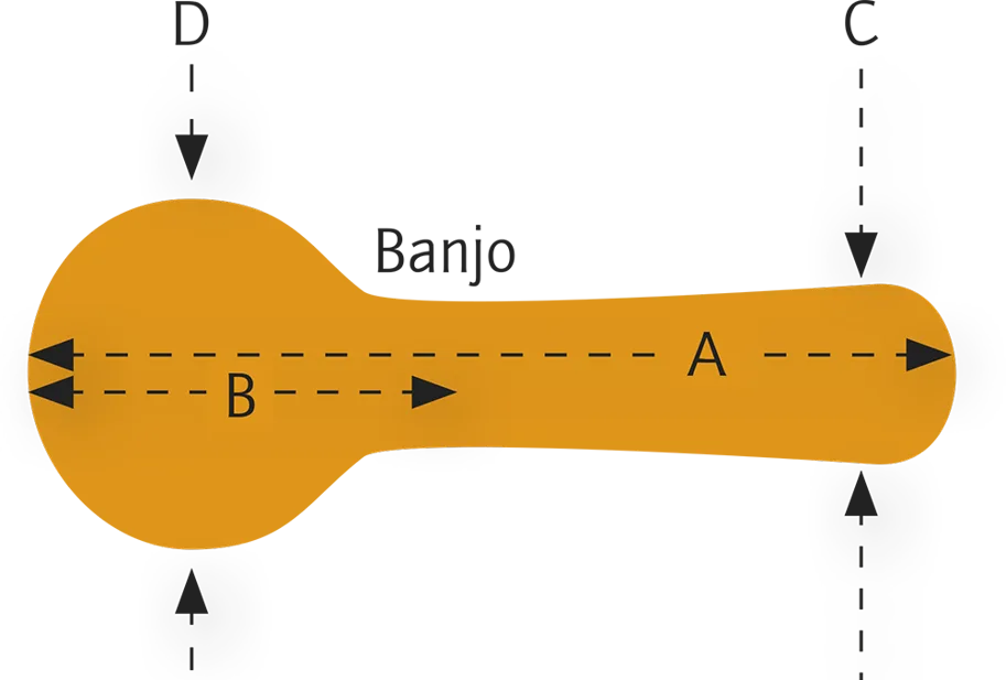 Case Banjo - 5/6 String