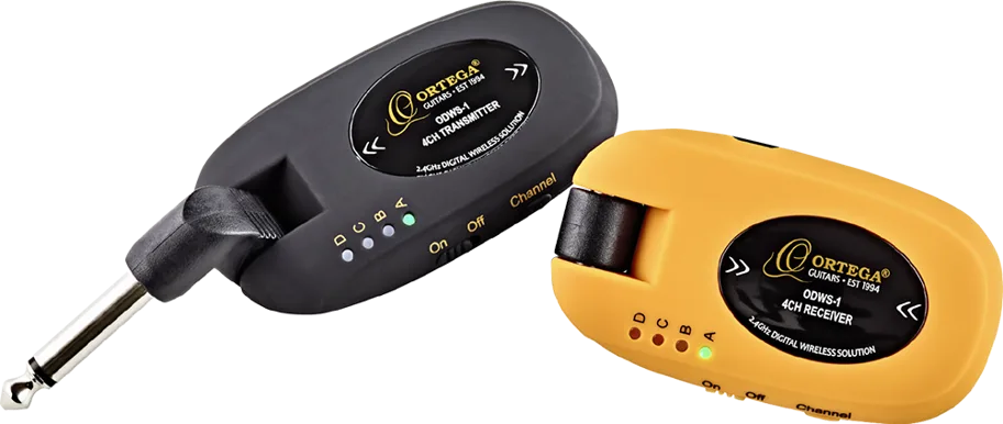 Digital Wireless System