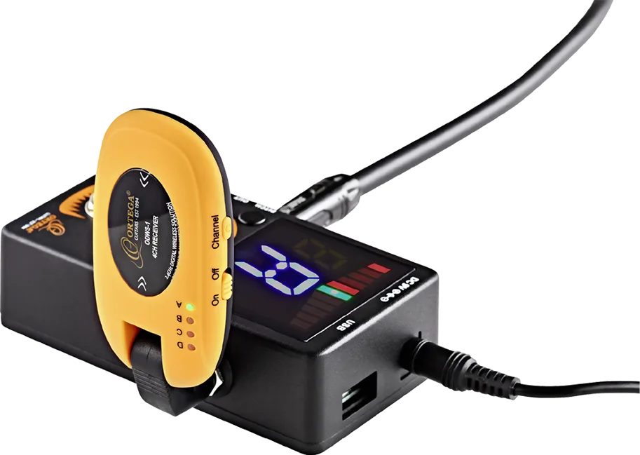 Digital Wireless System