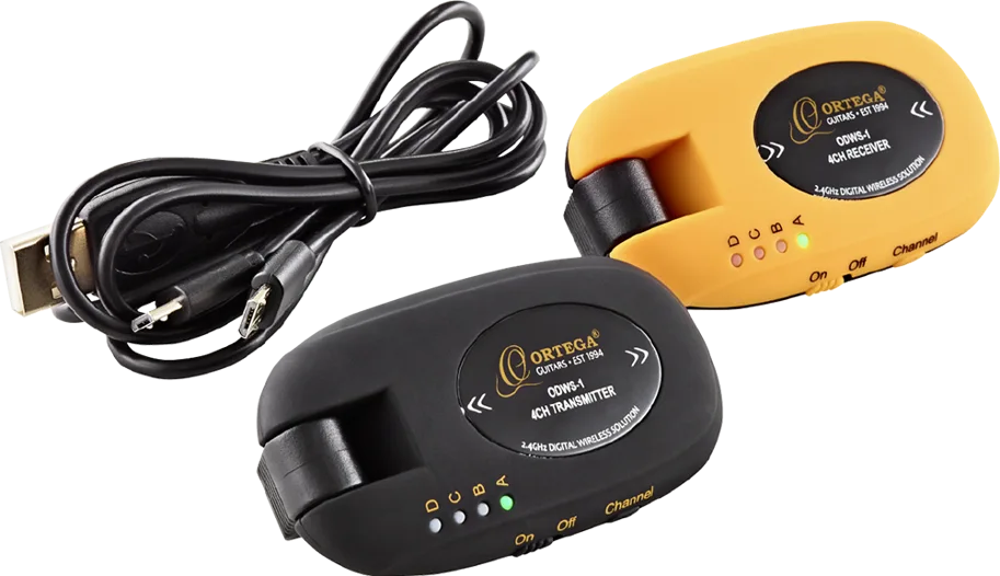 Digital Wireless System