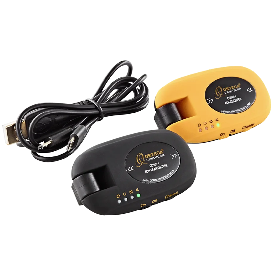 Digital Wireless System
