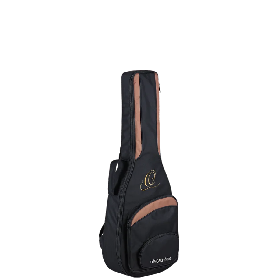 Professional Guitar Bag - 1/2