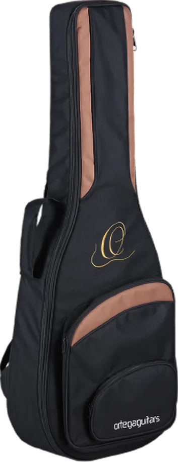 Professional Guitar Bag - 1/4