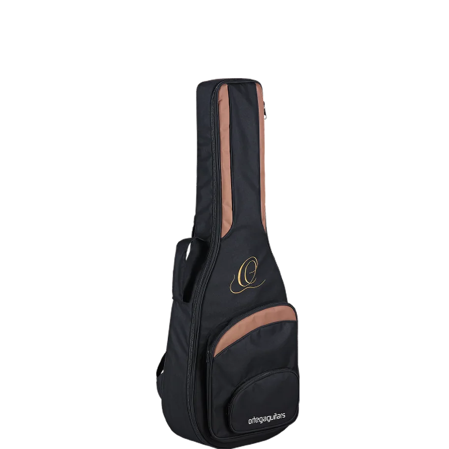 Professional Guitar Bag - 3/4