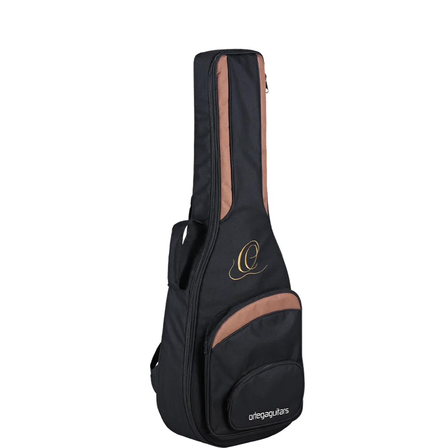Professional Guitar Bag - 4/4
