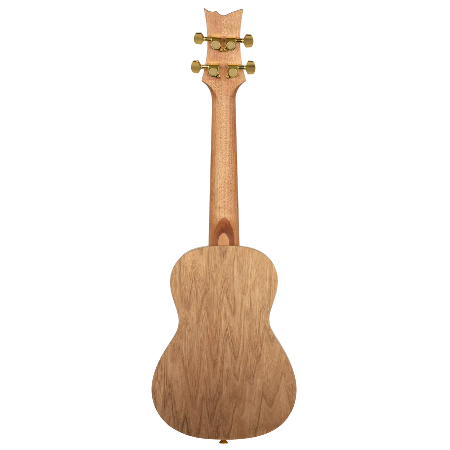 Art Series Concert Ukulele - Catalpa Mystic India