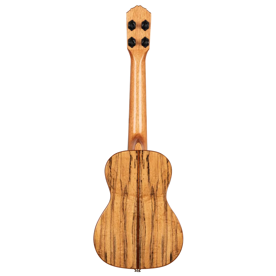 Elite Series Concert Ukulele CE - Spalted Maple