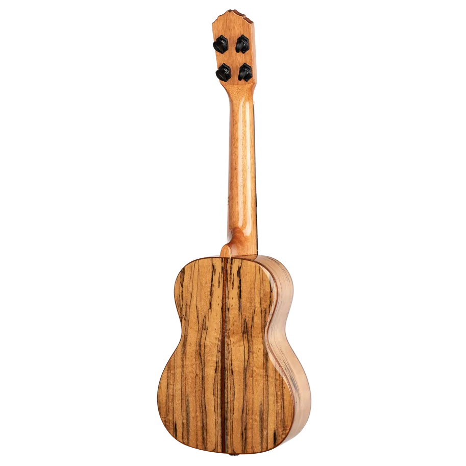 Elite Series Concert Ukulele CE - Spalted Maple