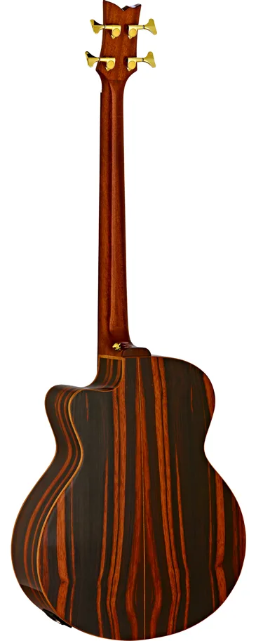 Acoustic Bass "Private Room" - Striped Suite C/E