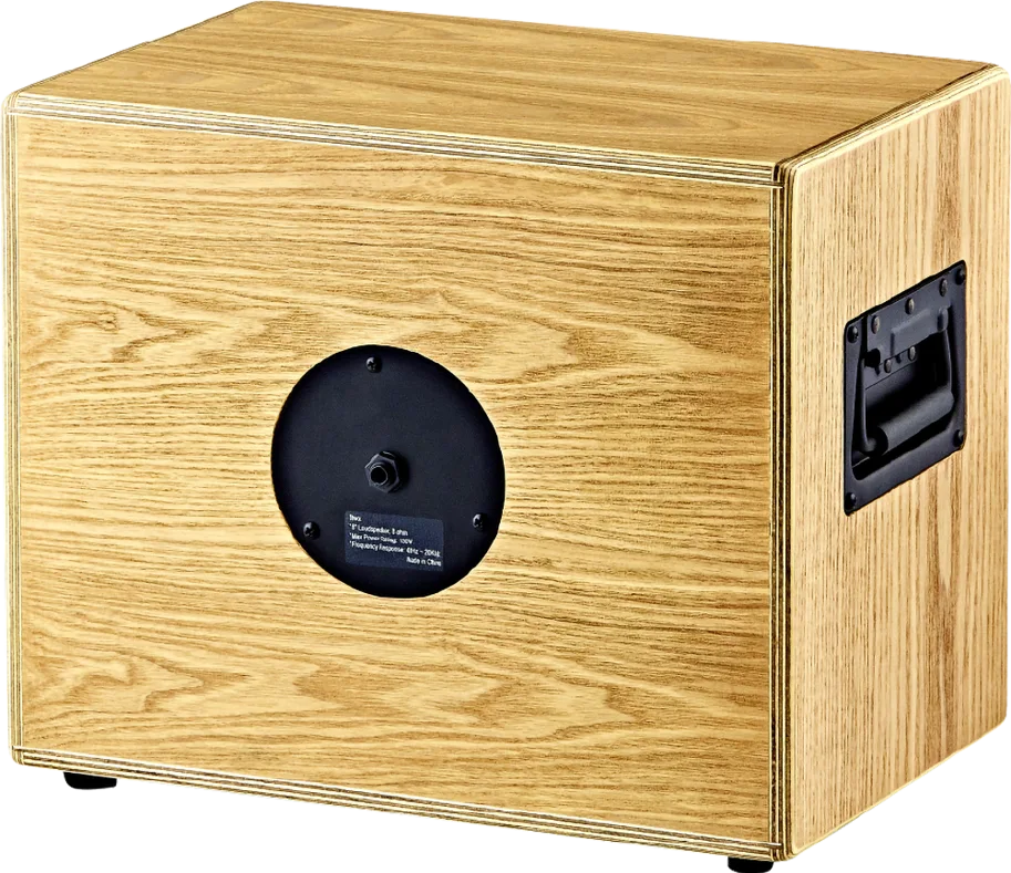 Ortega 150 Watt - 8" Speaker Cabinet