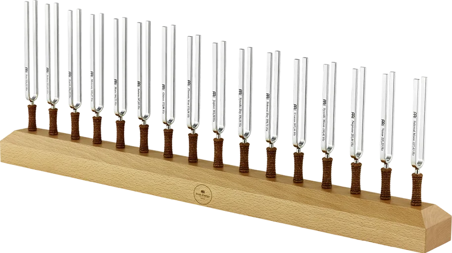 Tuning Fork Holder Set-Up
