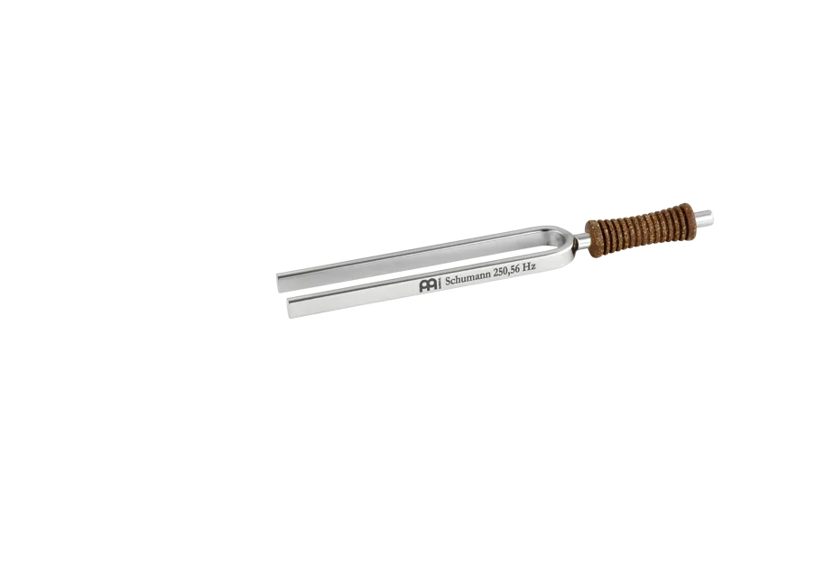 Tuning Fork - Schumann