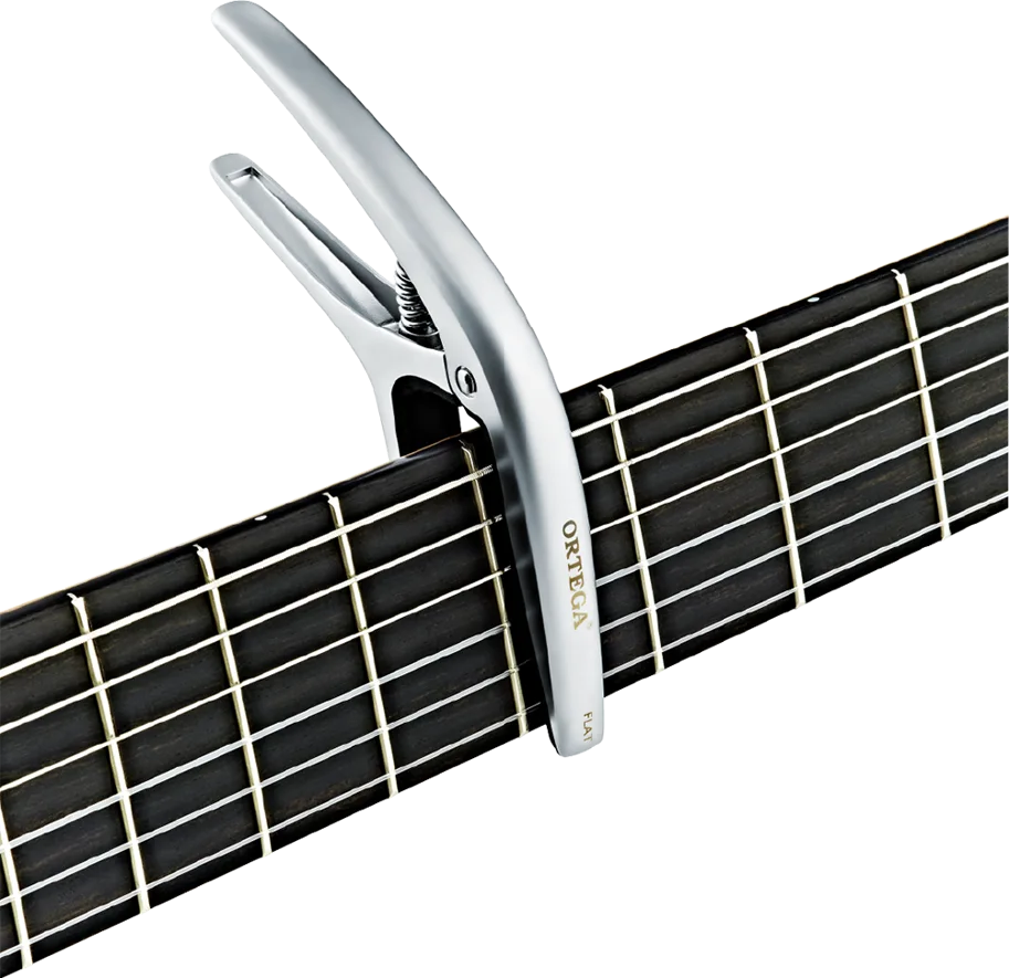 TWINcapo Curved/ Flat Guitar - Chrome