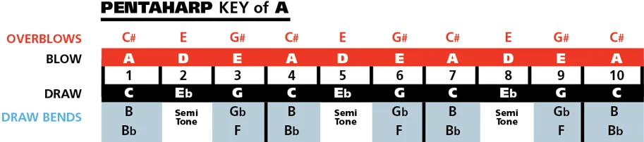 Penta Harp Bb-minor (moll)