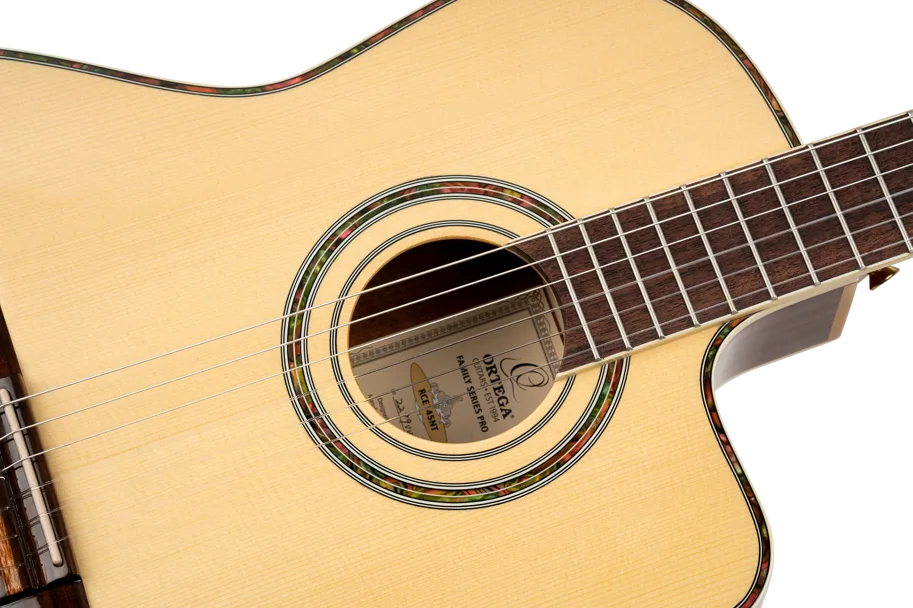 Guitar CE SN "Family Pro Series" 4/4 - Natural