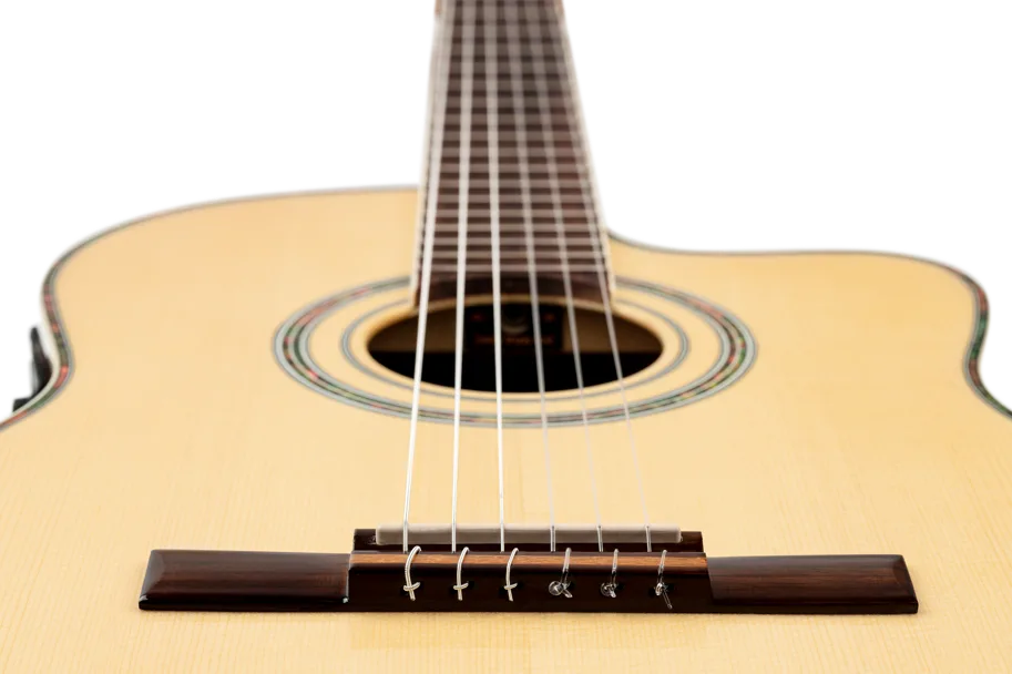 Guitar CE SN "Family Pro Series" 4/4 - Natural