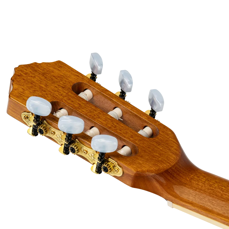 Guitar CE SN "Family Pro Series" 4/4 - Natural