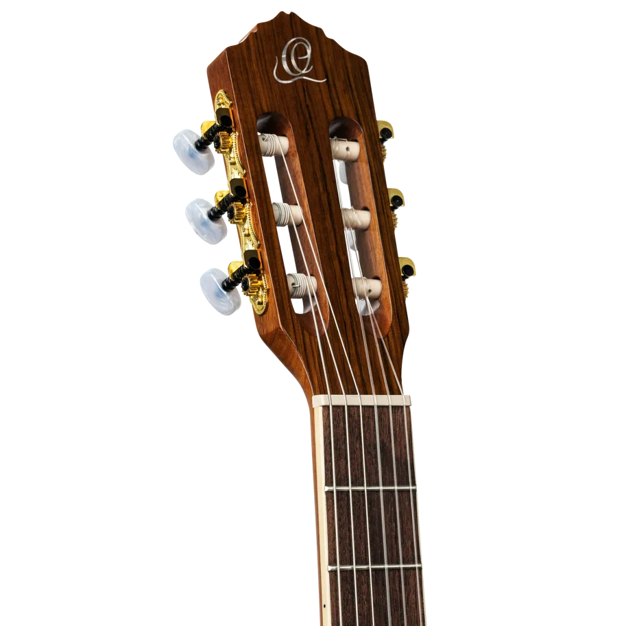 Guitar CE SN "Family Pro Series" 4/4 - Natural