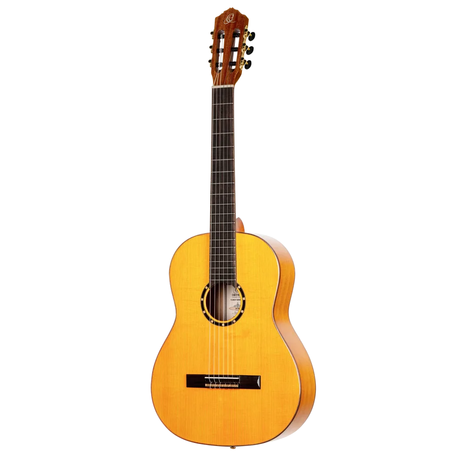 Guitar "Family Pro Series" - Flamenco
