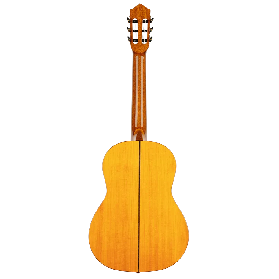 Guitar "Family Pro Series" - Flamenco