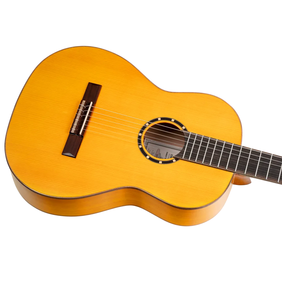 Guitar "Family Pro Series" - Flamenco