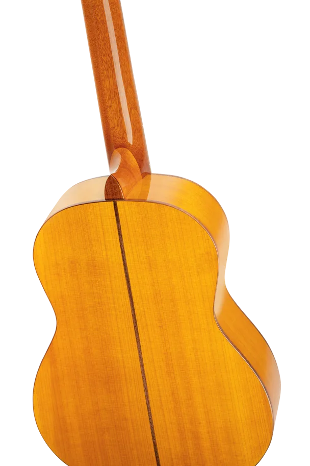 Guitar "Family Pro Series" - Flamenco