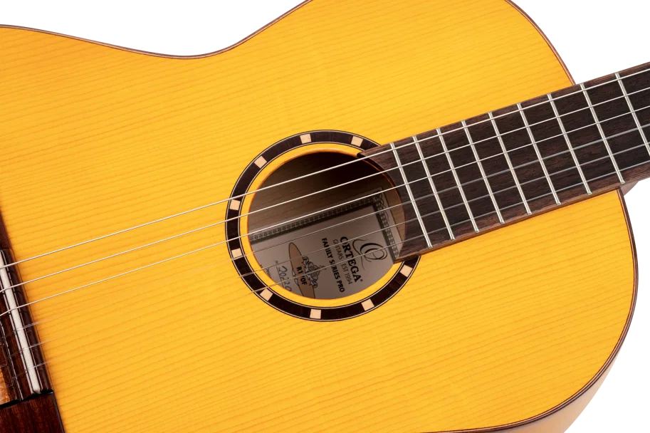 Guitar "Family Pro Series" - Flamenco
