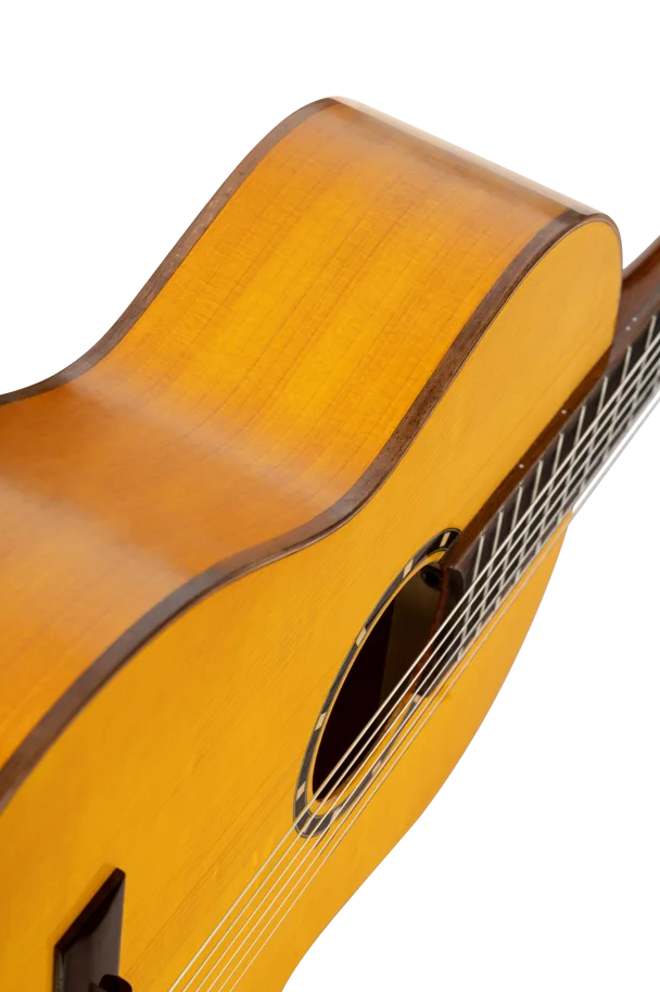 Guitar "Family Pro Series" - Flamenco