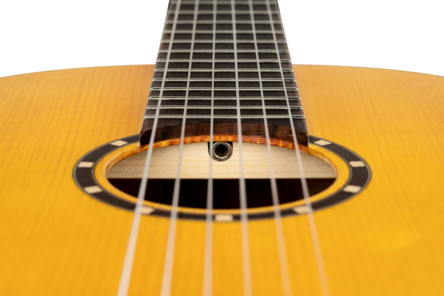 Guitar "Family Pro Series" - Flamenco