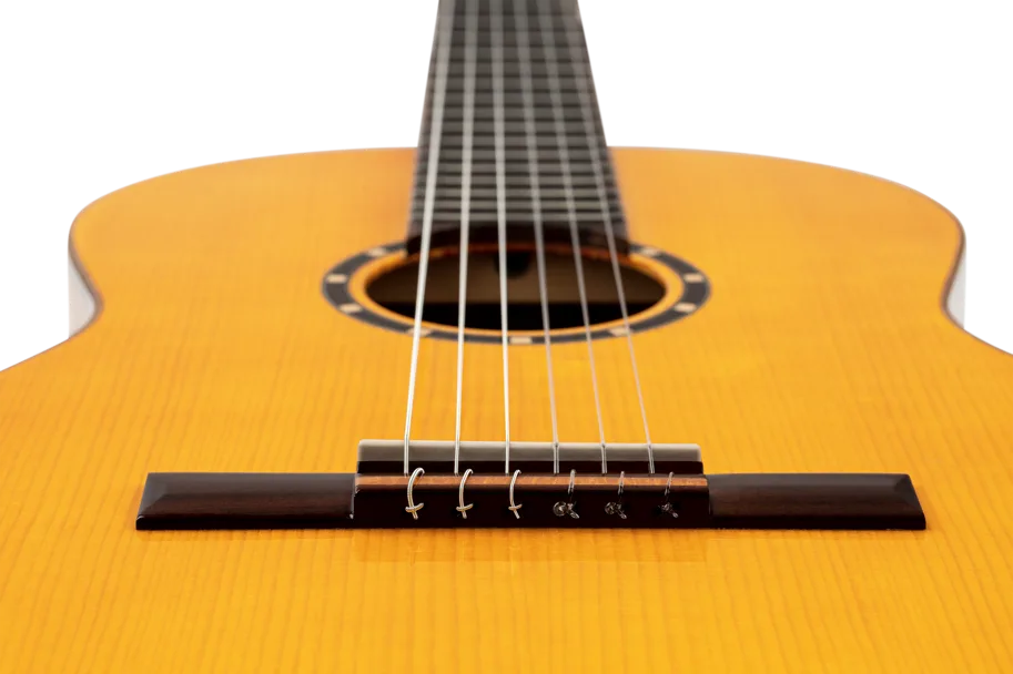 Guitar "Family Pro Series" - Flamenco