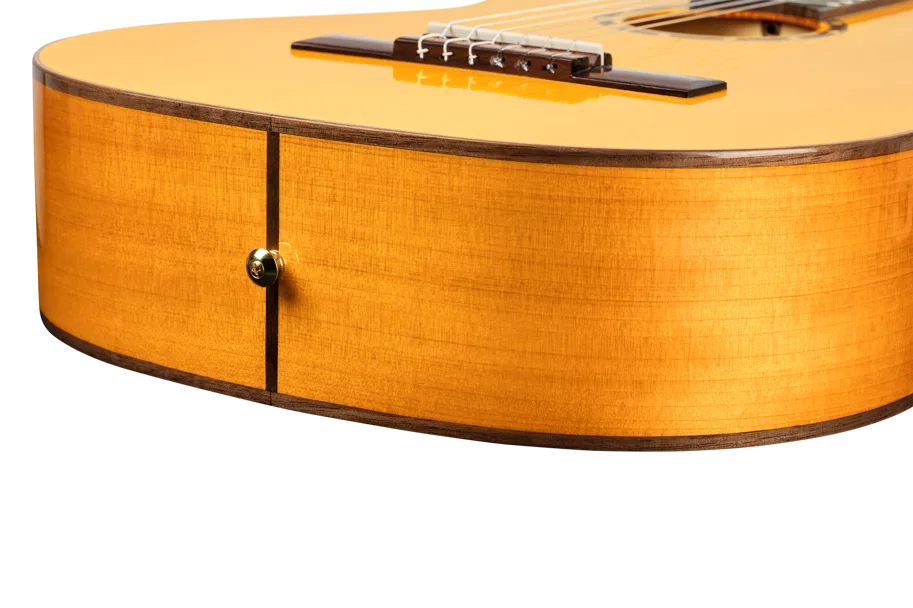 Guitar "Family Pro Series" - Flamenco