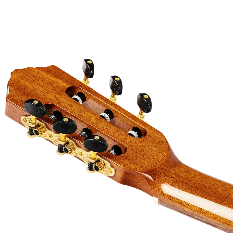 Guitar "Family Pro Series" - Flamenco