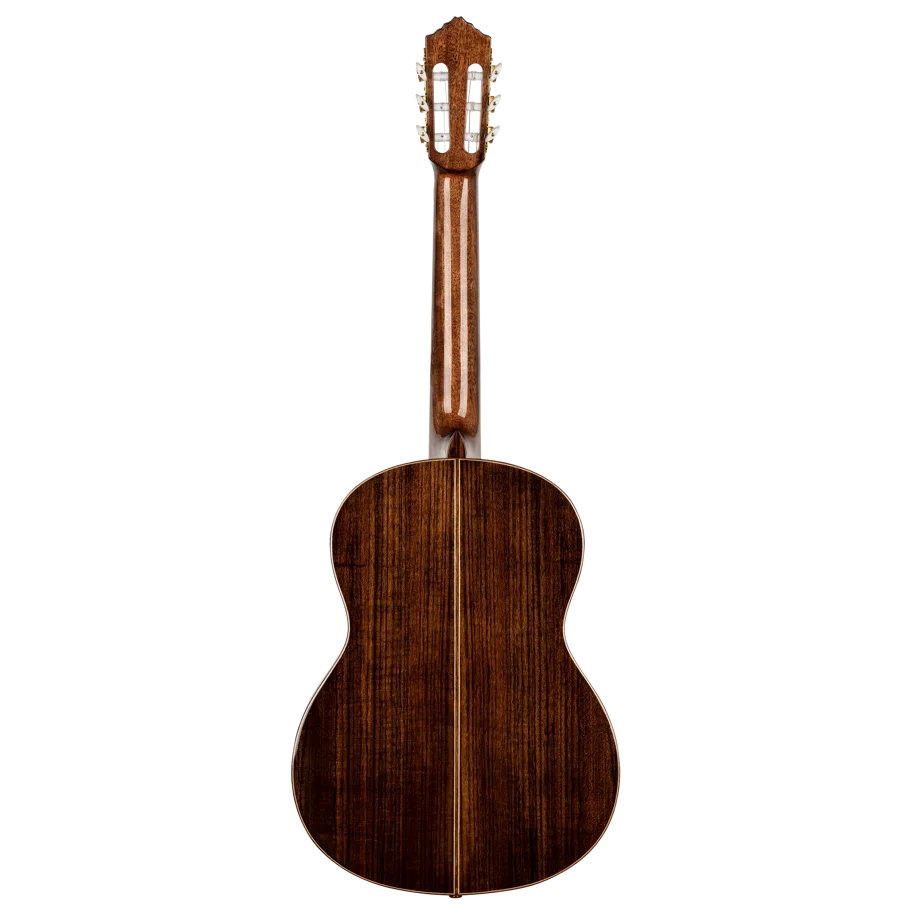 Guitar "Performer Series" 4/4 - Solid Cedar