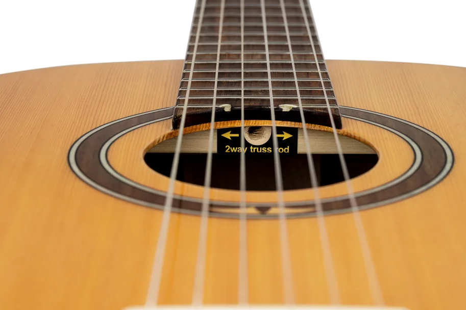 Guitar "Performer Series" 4/4 - Solid Cedar
