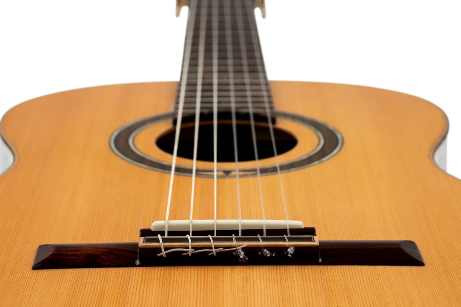 Guitar "Performer Series" 4/4 - Solid Cedar