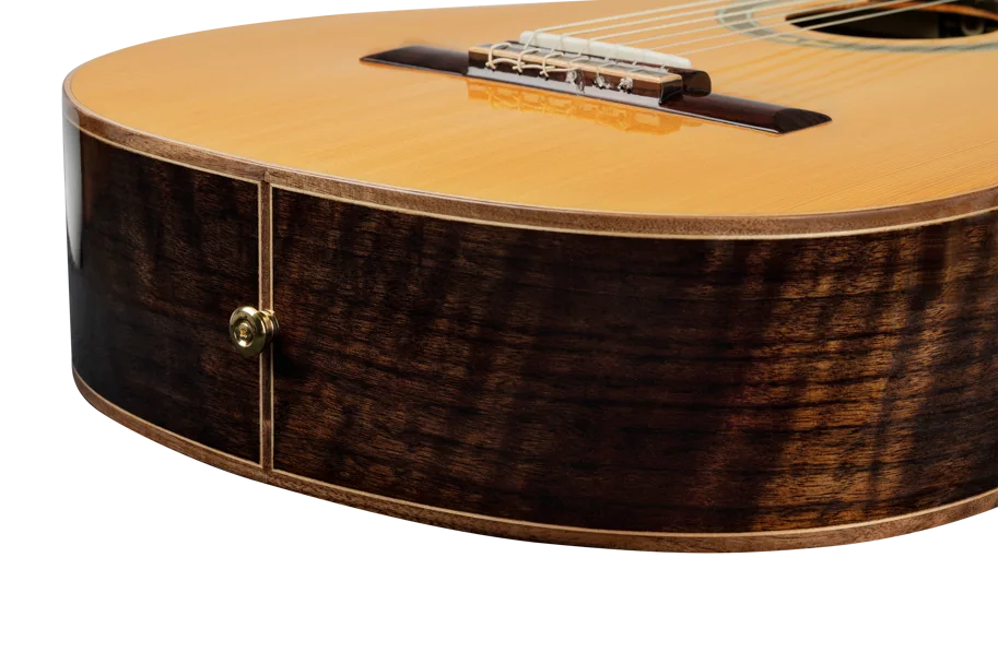 Guitar "Performer Series" 4/4 - Solid Cedar