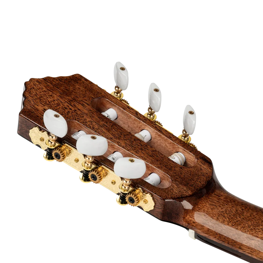 Guitar "Performer Series" 4/4 - Solid Cedar
