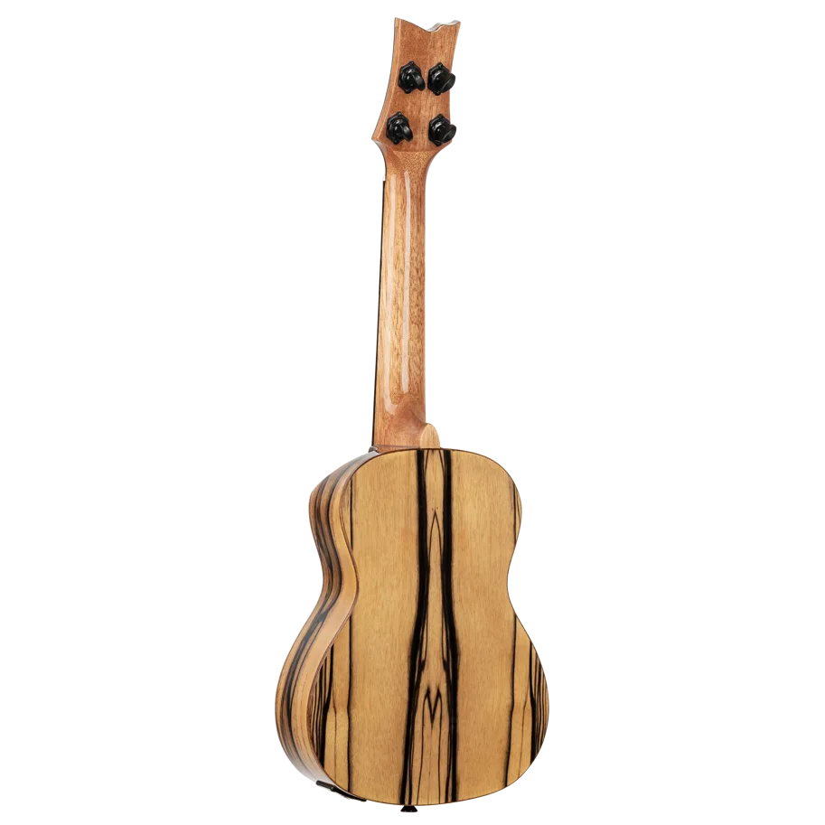 Ukulele Concert "The Private Room" - Eagle Suite