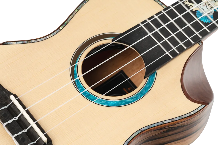 Ukulele Concert "The Private Room" - Eagle Suite